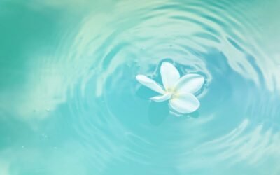 When Clowns Get Crowned