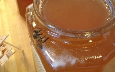 What We Take for Granted