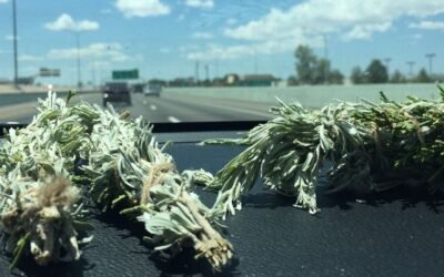 In Your Lane. At Your Pace.