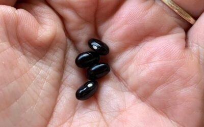 Terrible Reasons to Create, Part 3: Filling a Hole