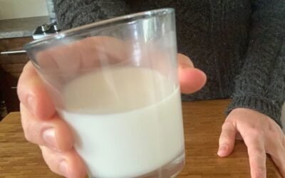 Getting Honest about Milk (and How to Make Mylk)