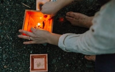 The Wisdom of Pitta Dosha