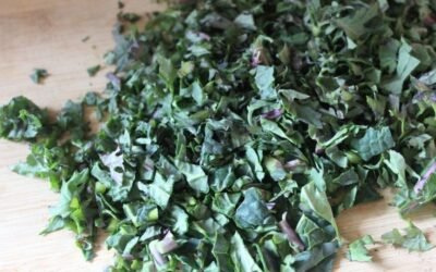 BodyStory: Bitter Taste Recipe